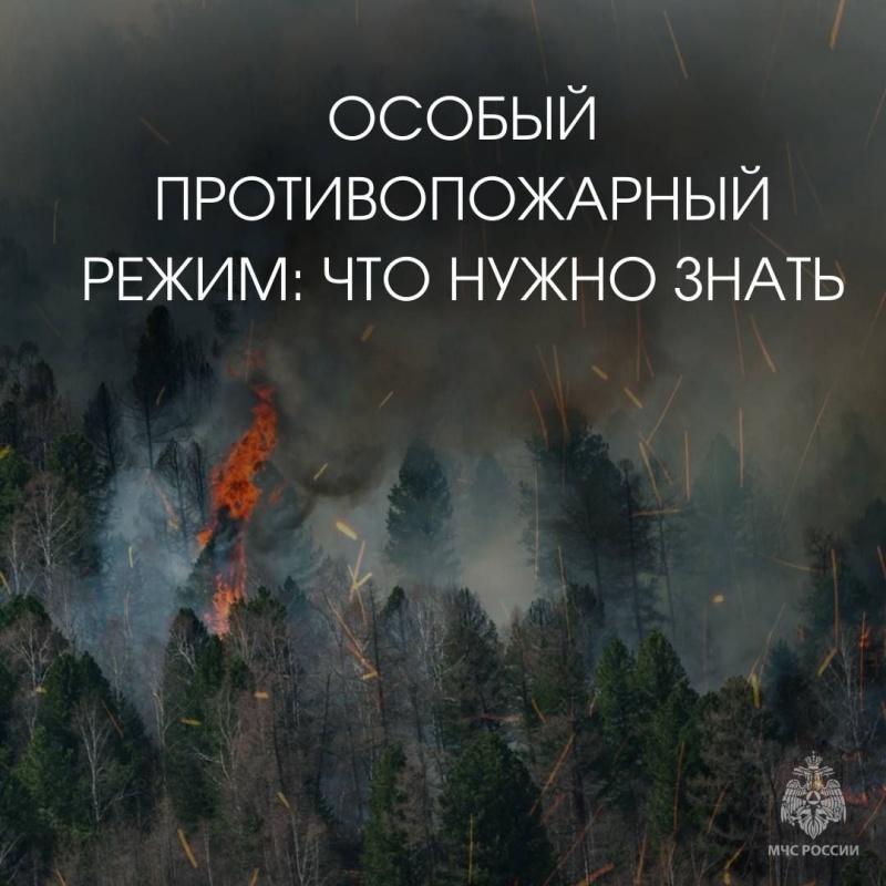 В десяти районах республики прогнозируют установление чрезвычайного высокого класса пожарной опасности леса